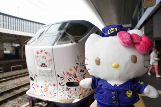 ぬい撮り見せてください