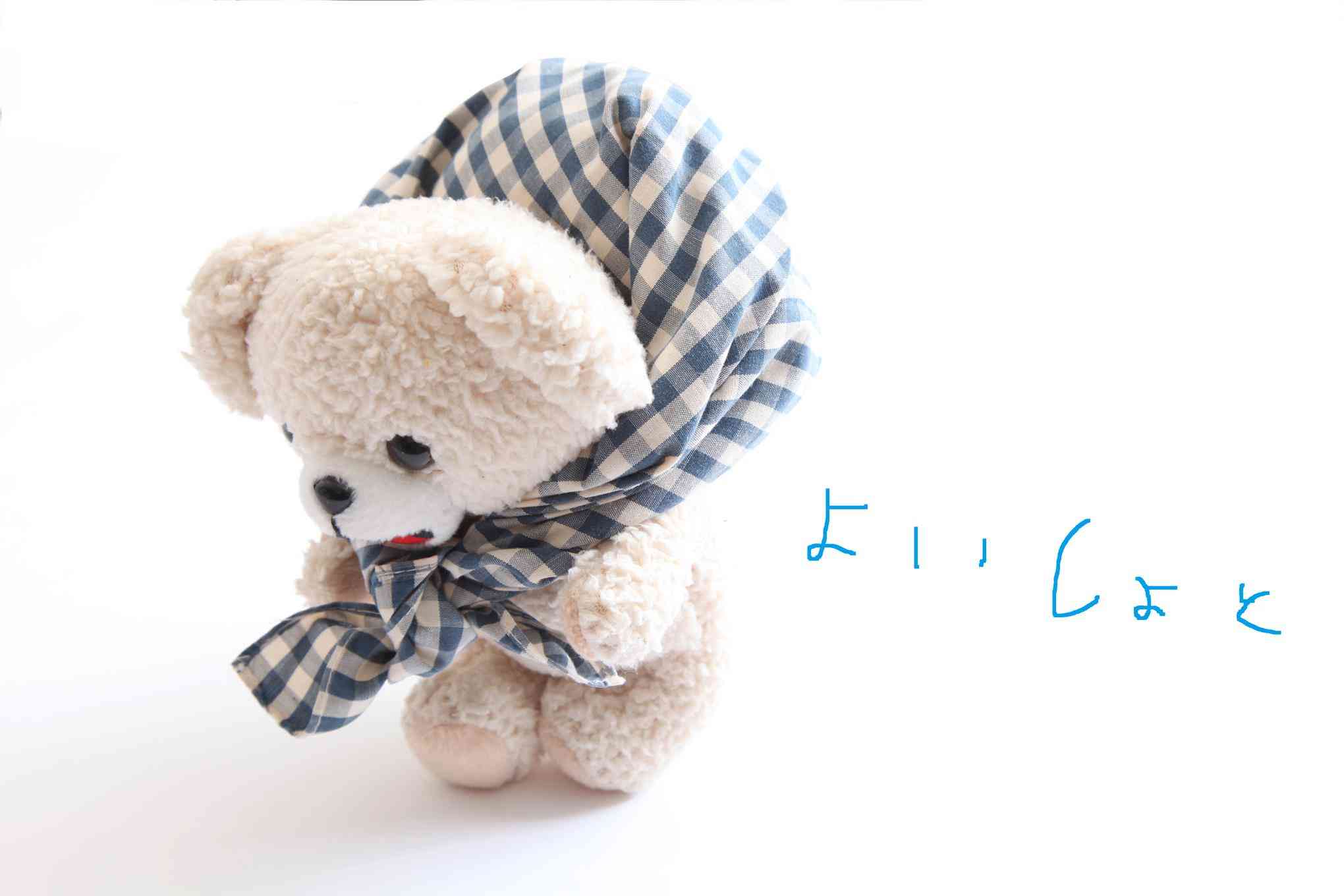 ぬい撮り見せてください