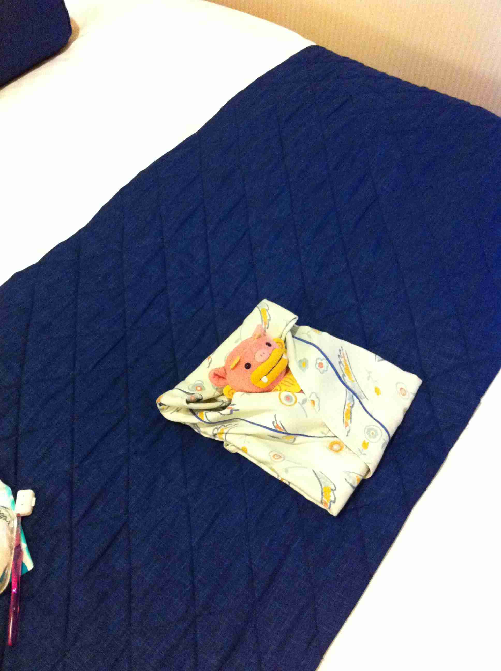 ぬい撮り見せてください