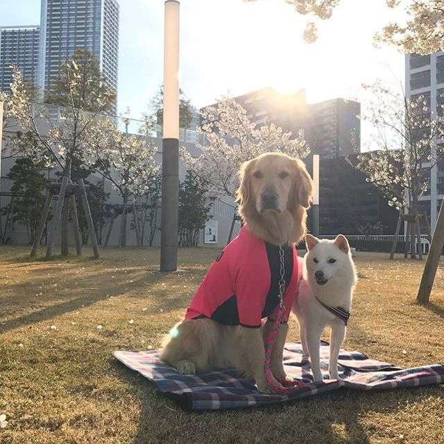 明日、どこ行きますか?