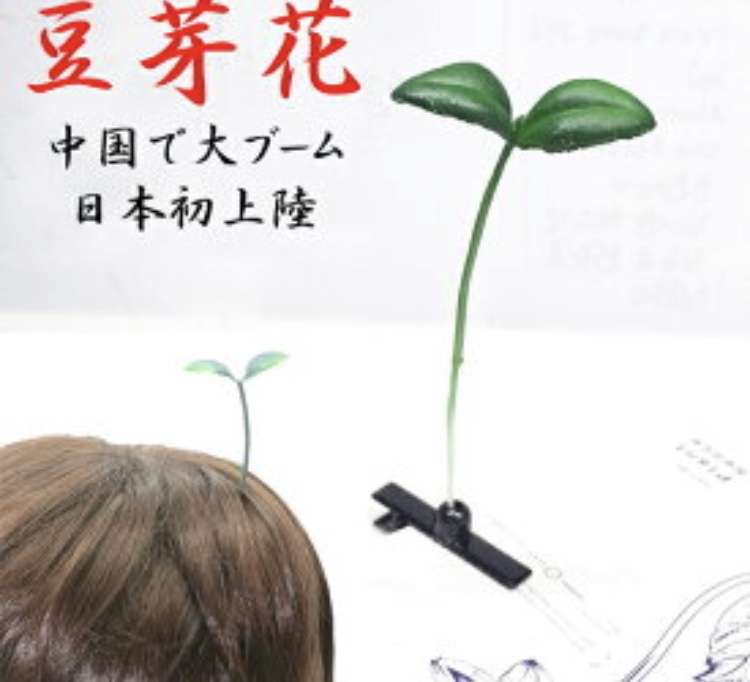【画像】ちょっとこれはつけたくないと思うアクセサリー