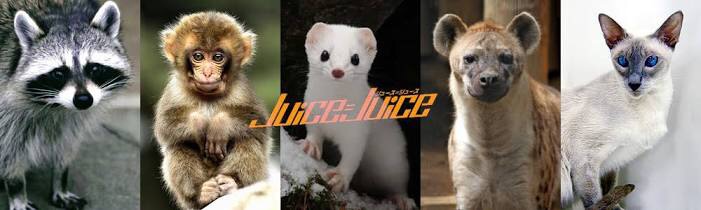 Juice=Juiceを語ろう！！