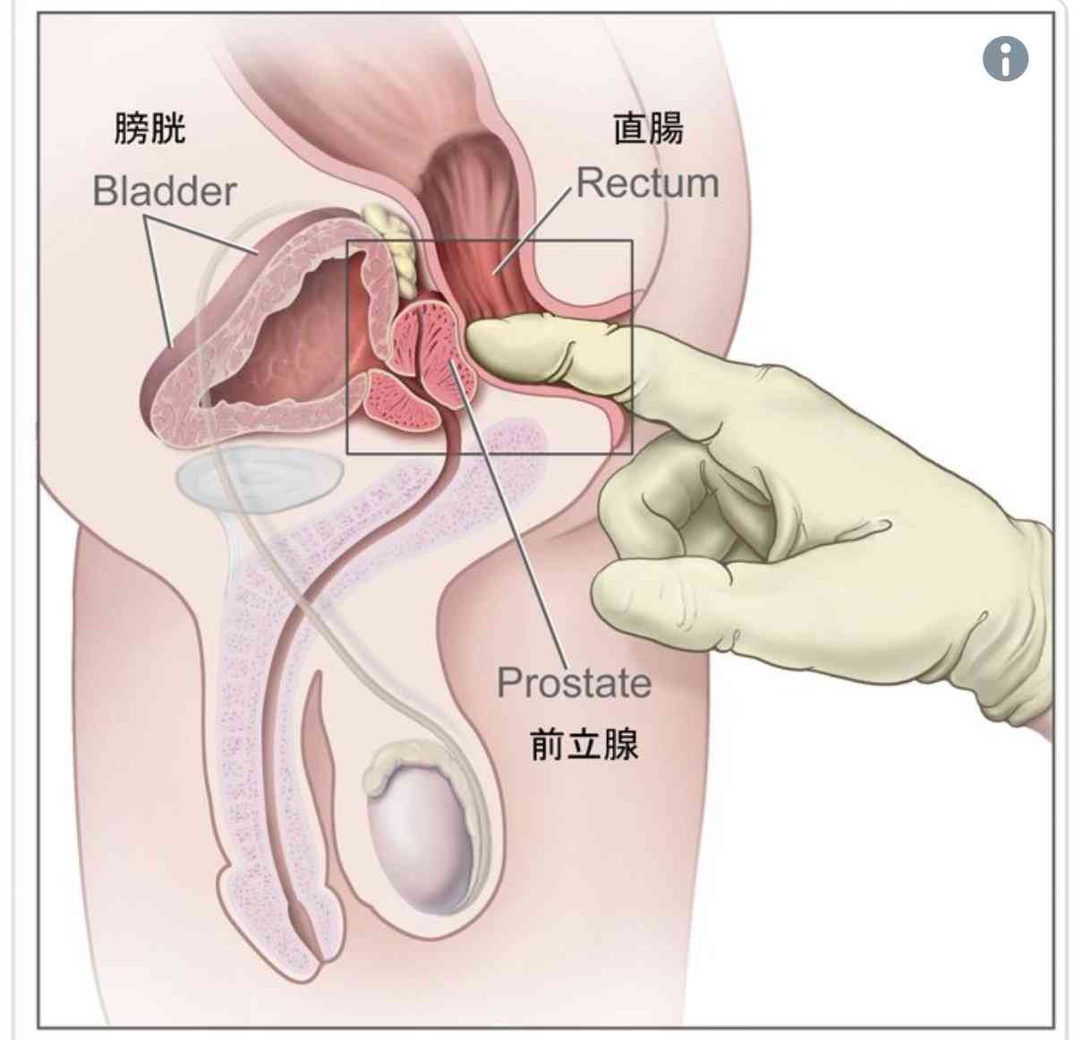 男性助産師についてどう思いますか？