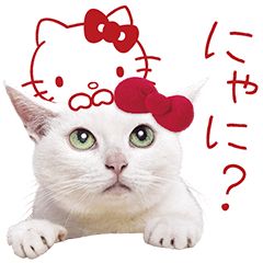 ハローキティ初のハリウッド映画化決定