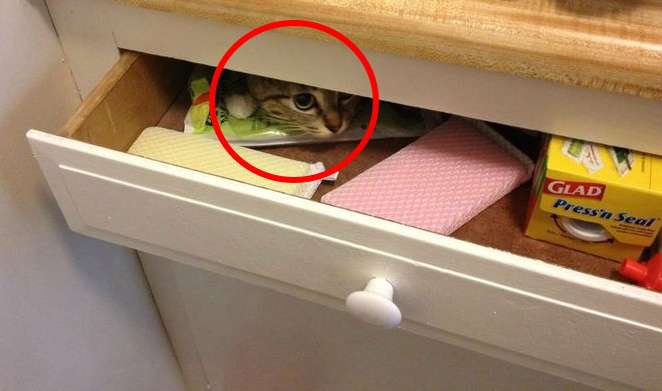 心霊写真を撮ってしまった又は見たことがある方