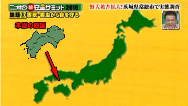 四国の民よ、集まれ‼️