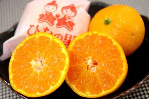 四国の民よ、集まれ‼️