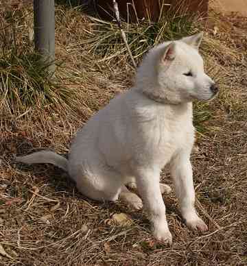 産婦人科の待合室に男性が座る