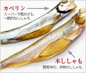 【安価】「なんちゃって食品」を教えてください!【代替】
