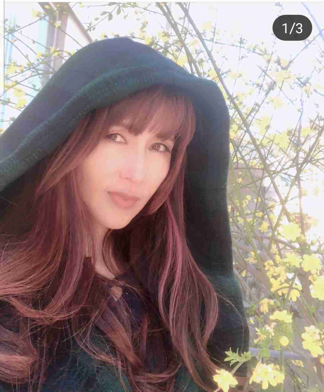 工藤静香、レタスシュウマイ披露も厳しい声「見た目悪すぎ」「美味しくなさそう」