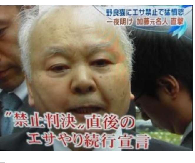 ひふみん 人気に陰り ネットでは もう飽きた イライラする と厳しい意見も ガールズちゃんねる Girls Channel