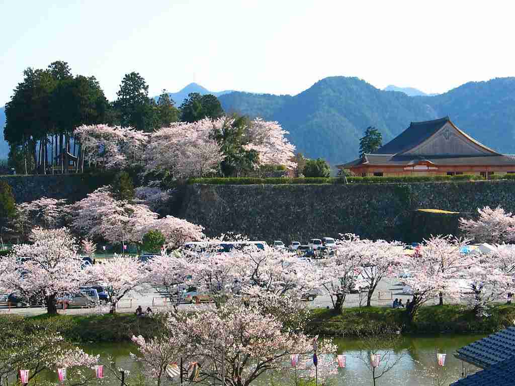 兵庫県民、集合！