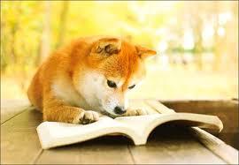 育児書読みますか？
