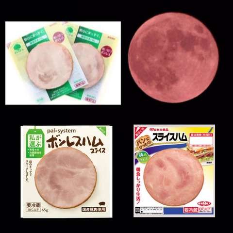 アポロは本当に月に行ったと思いますか？【NASA】