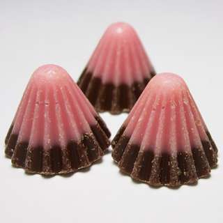 アポロは本当に月に行ったと思いますか？【NASA】