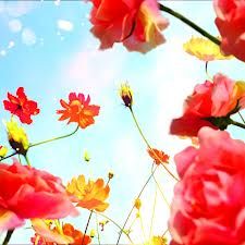 蜷川実花の世界観が好き