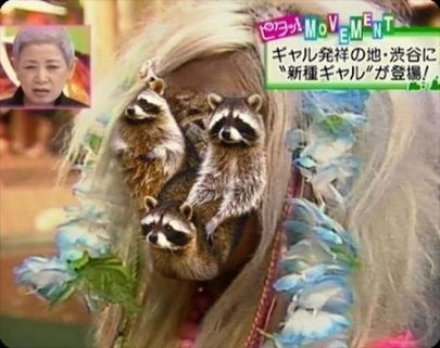 子供に見せたら「怖いよ~」と言って泣くかもしれない画像トピ