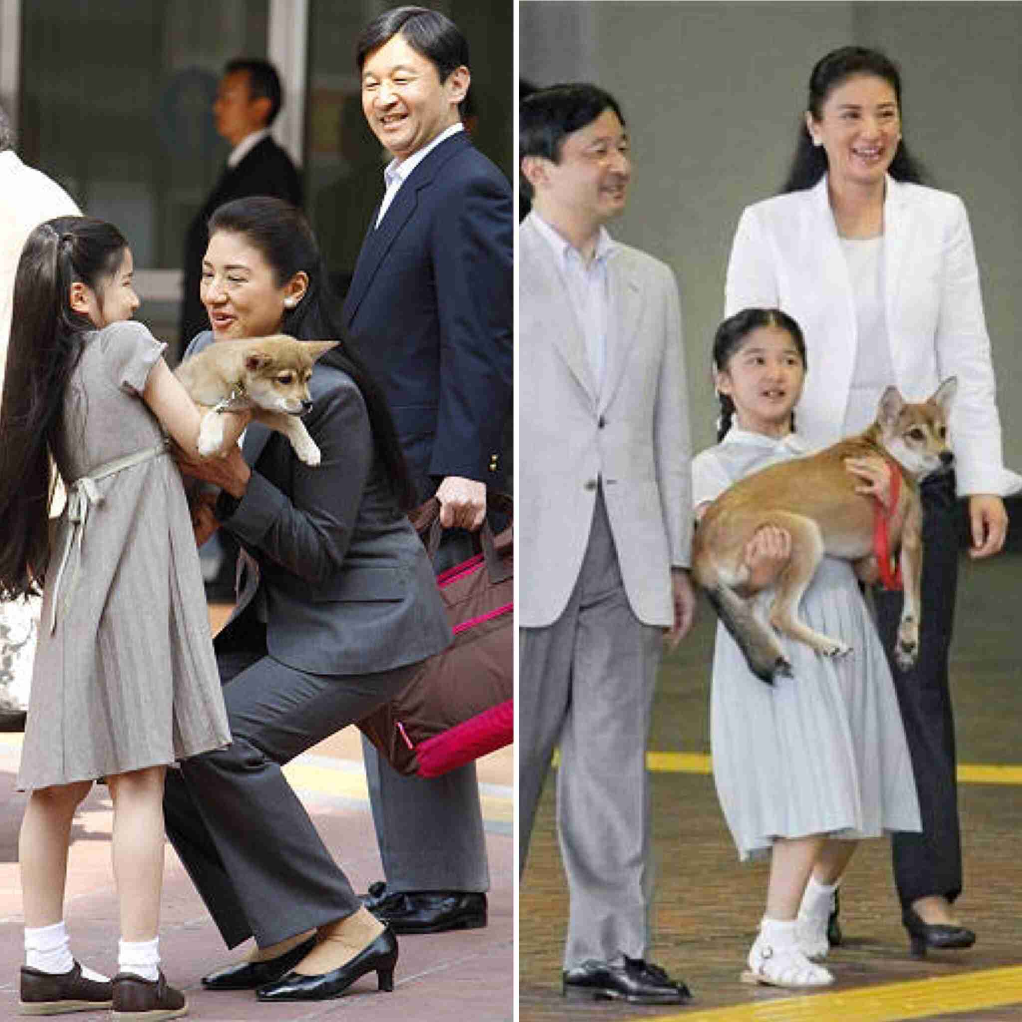 小室圭さん　NY州司法試験受験、最短でも21年7月濃厚