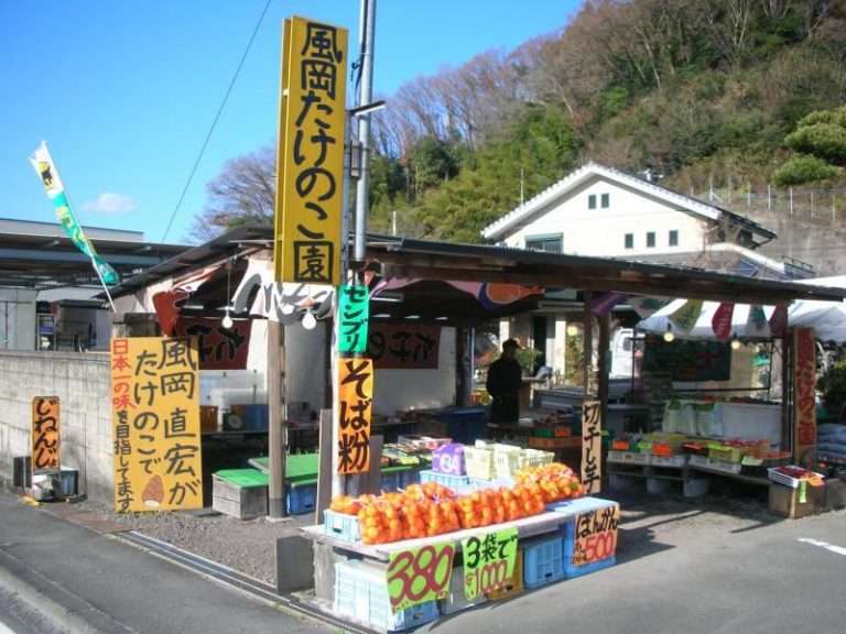 [ネタ]たけのこをスタイリッシュに掘る方法！