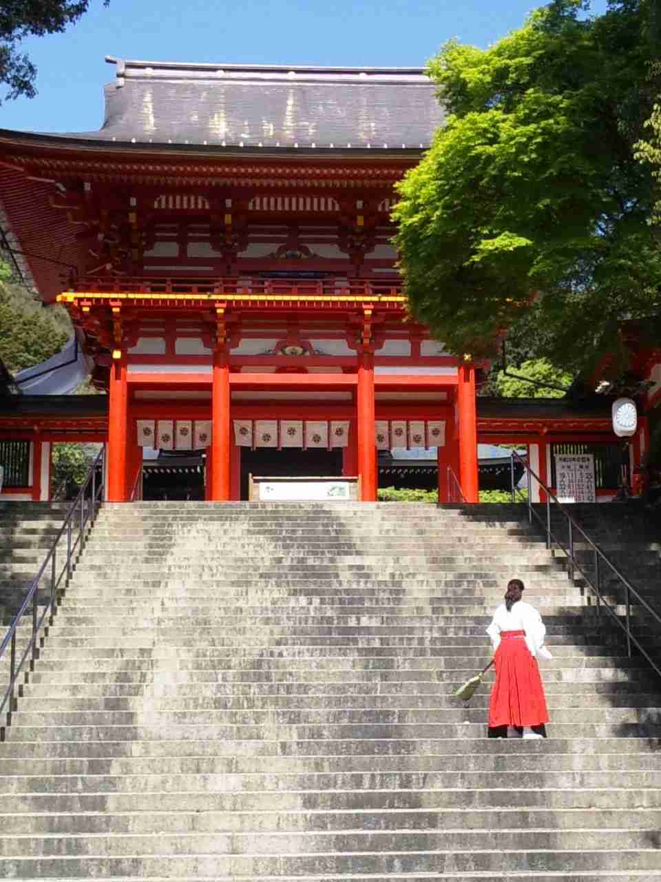 【実況・感想】金曜ロードSHOW！「ちはやふる−結び−」