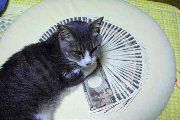 お金持ちの人、お金以外の悩みは何？
