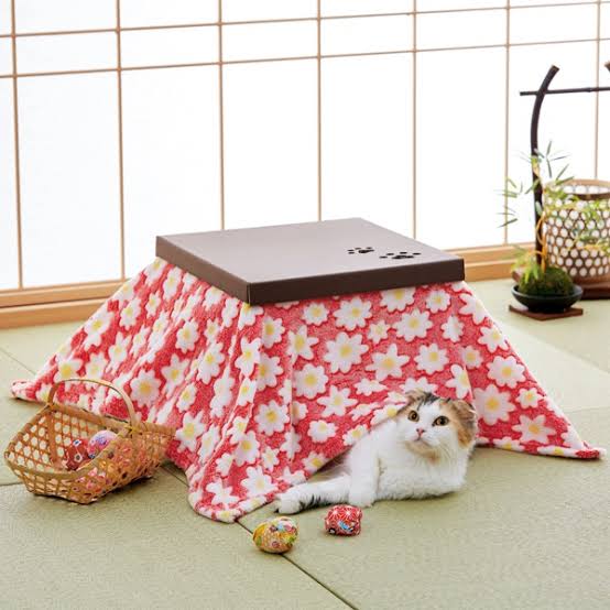【春なのに】敢えてこたつ×猫を貼るトピ
