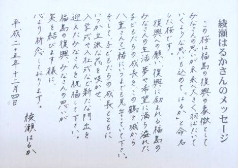 綾瀬はるかさん好きな人