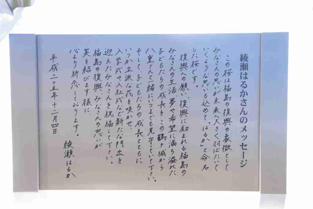 綾瀬はるかさん好きな人