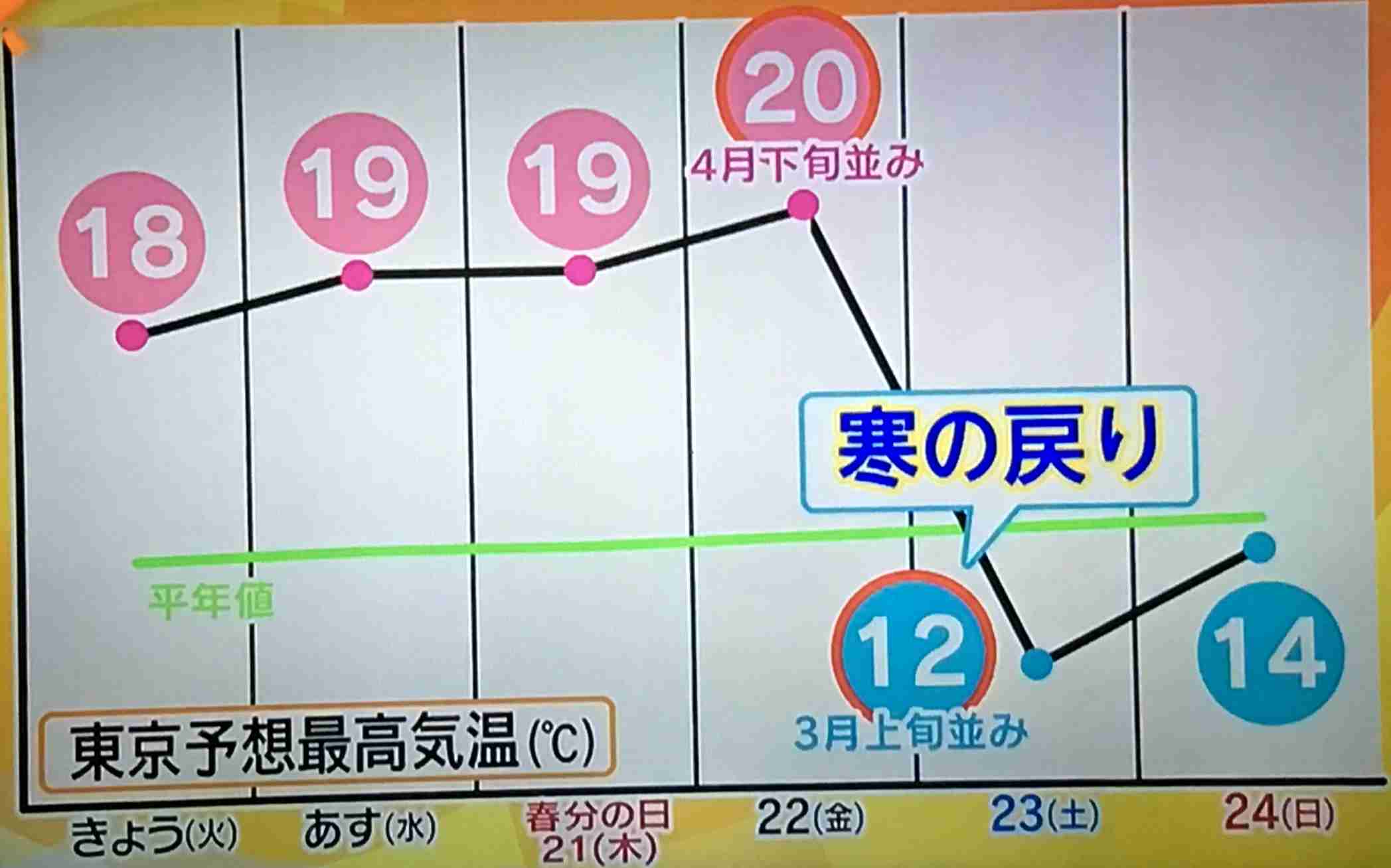 おいでよ！雑談の森！