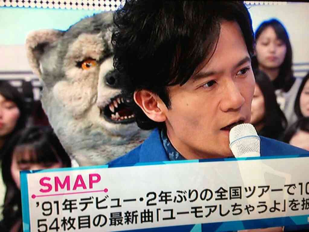 【画像】どこからか覗いている動物たち