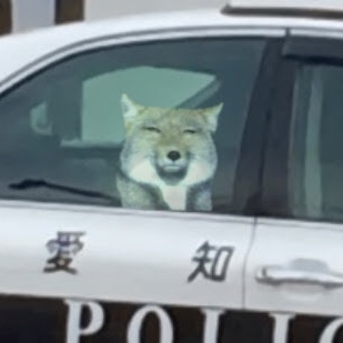 【画像】どこからか覗いている動物たち