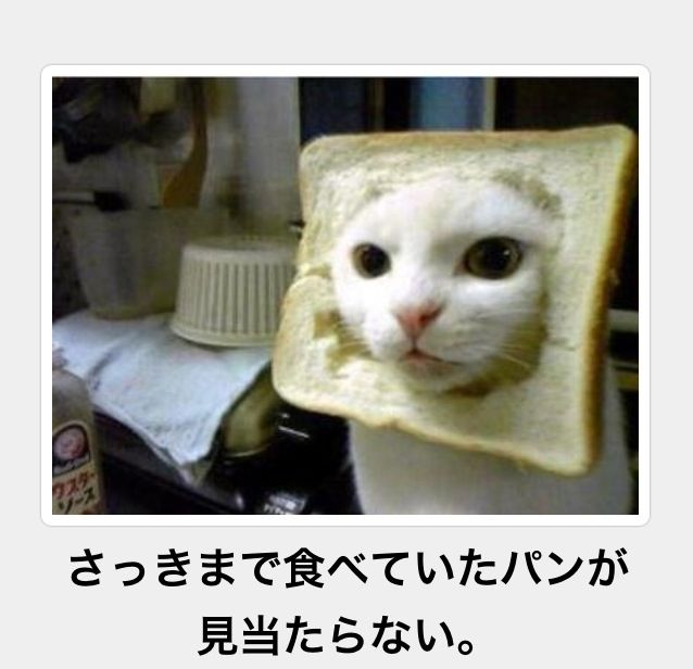 【画像】どこからか覗いている動物たち