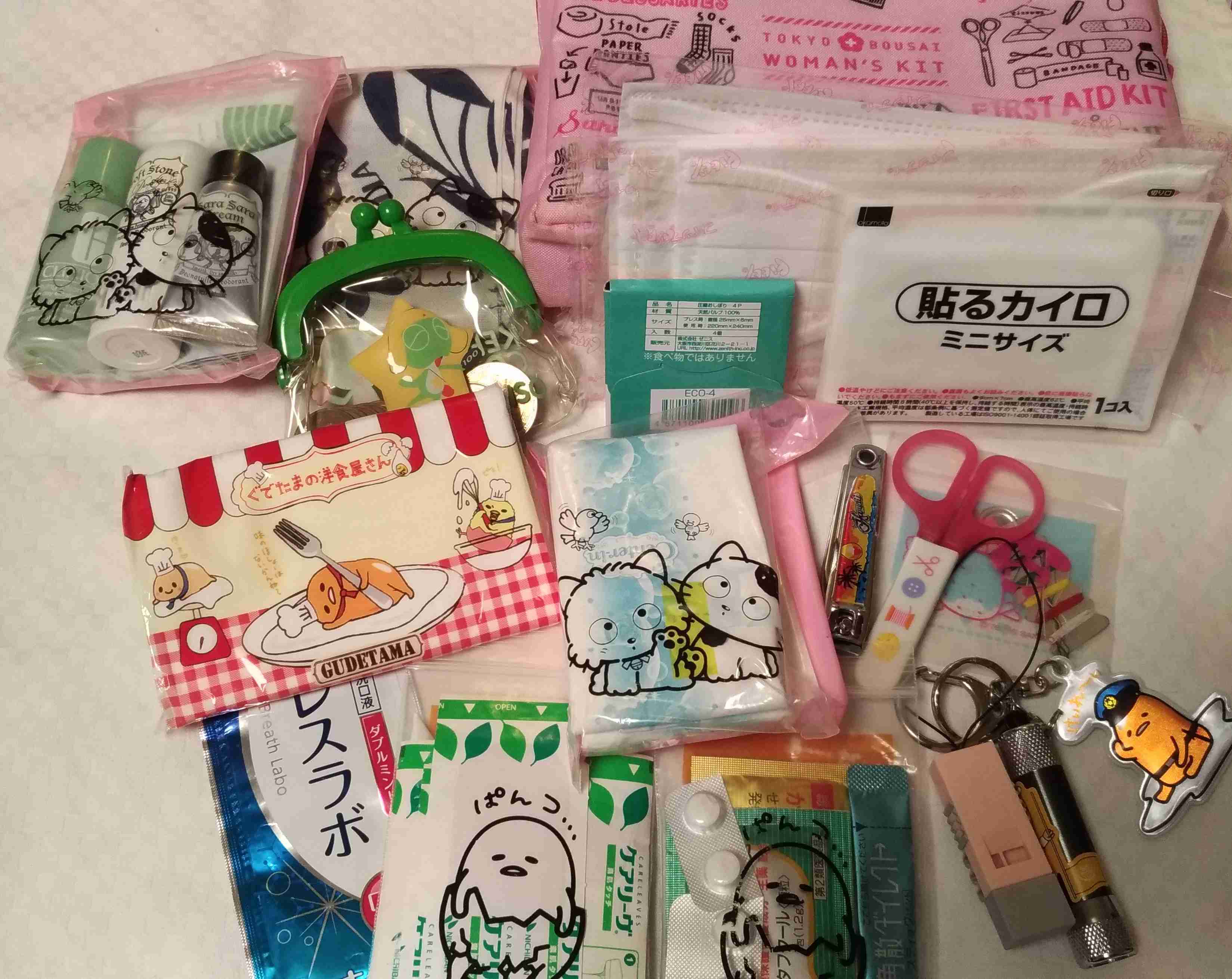 【0次の】防災ポーチ【備え】