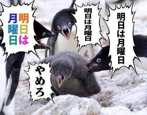 日曜が終わる…そんな気分を画像で表すトピ
