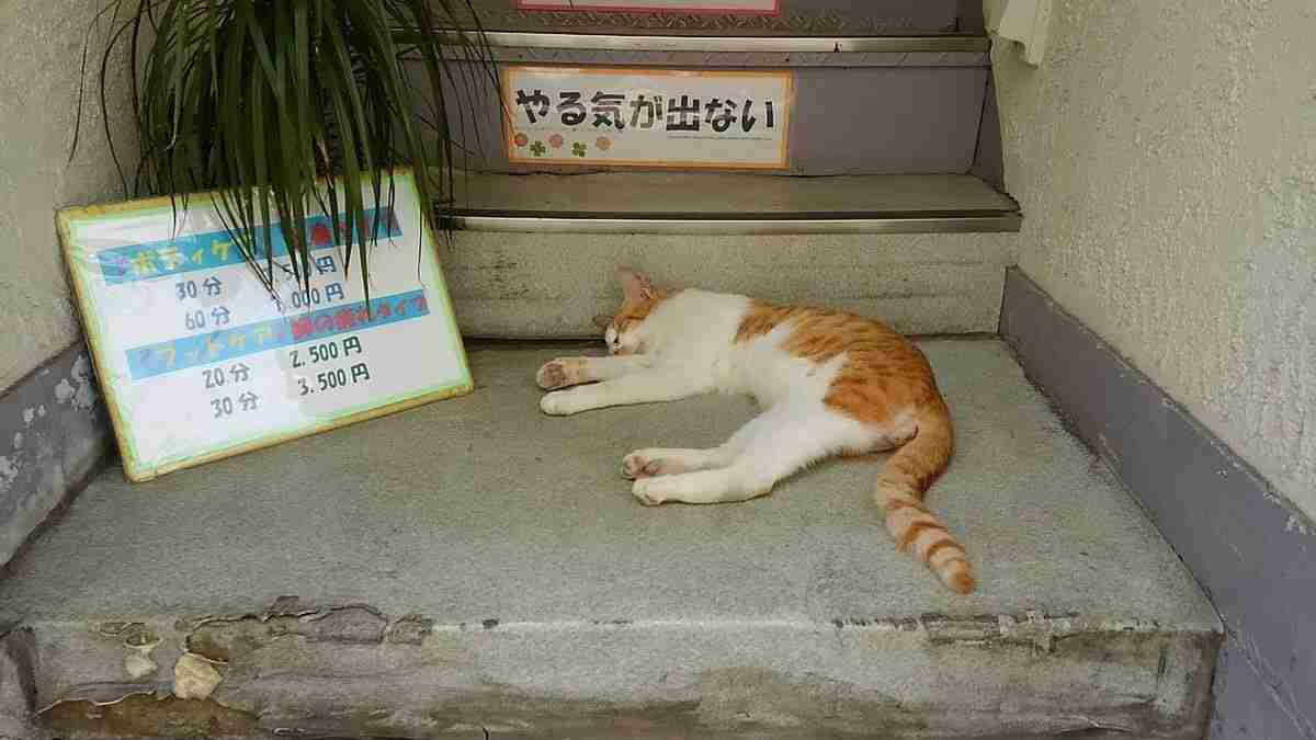 日曜が終わる…そんな気分を画像で表すトピ
