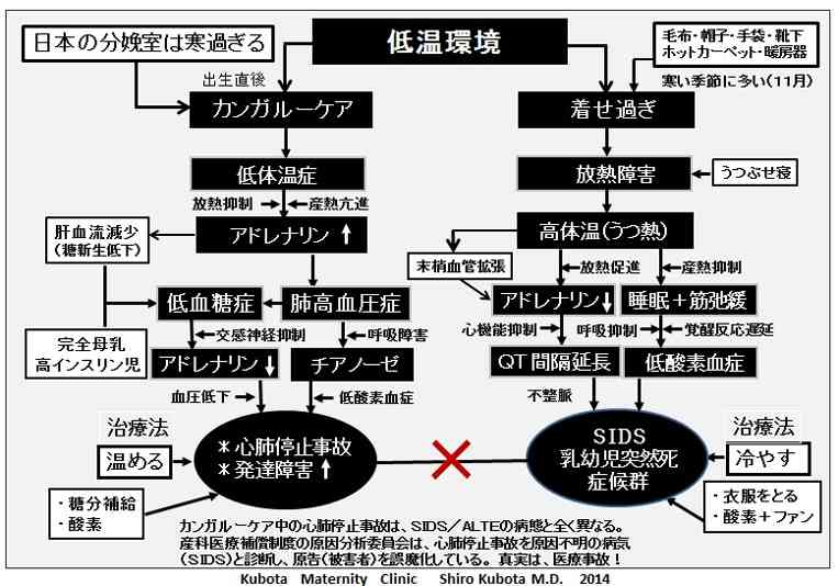0歳児の母が語るトピ part33
