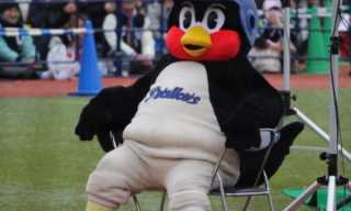 中日ドラゴンズ応援トピ