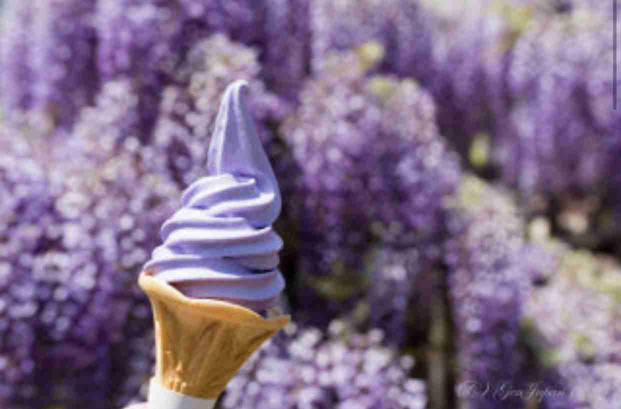 🍦変わり種ソフトクリーム選手権！🍦