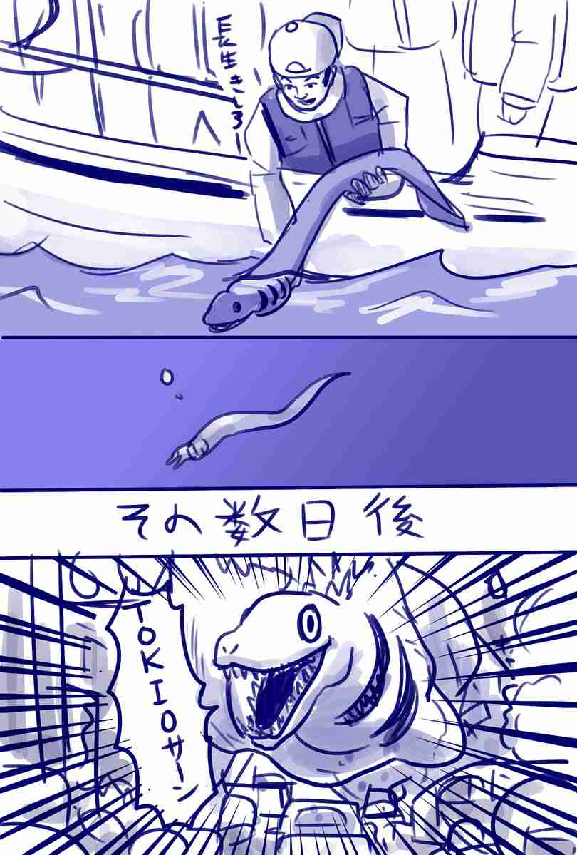 城島茂と桝太一が幻の古代ザメ「ラブカ」を再び捕獲！希少価値の高い魚を次々ゲットで視聴者驚愕