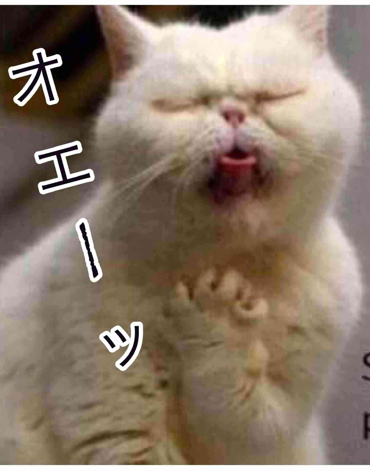 「写真集お待ちしてます」ざわちん、胸元露わなセクシー赤髪ショットを公開