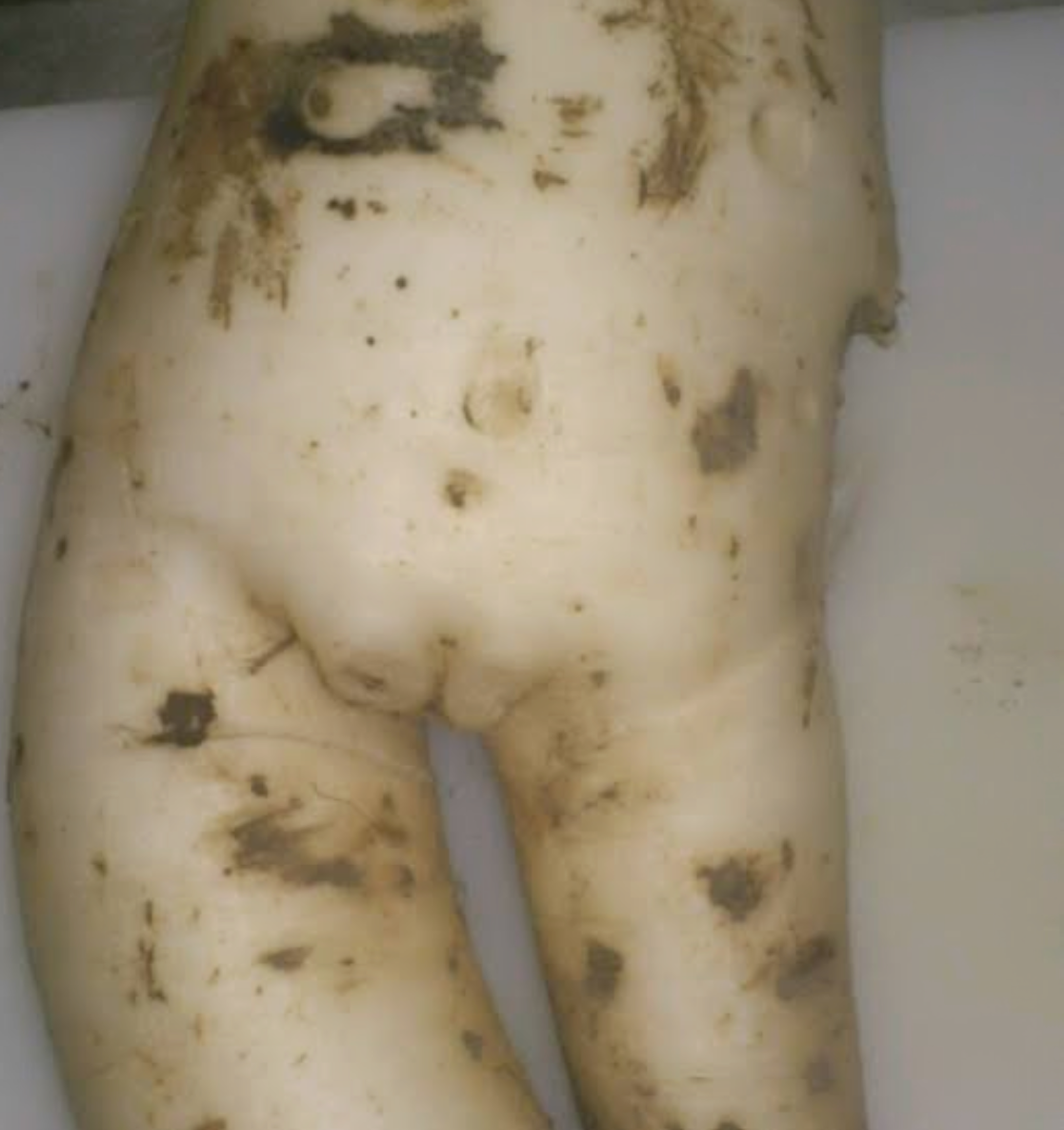 有名なタイトルに合ってるような画像を貼るトピ