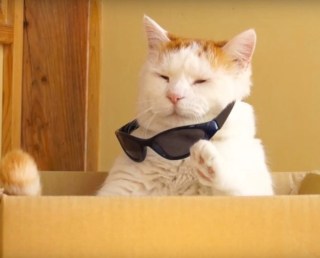 有名なタイトルに合ってるような画像を貼るトピ