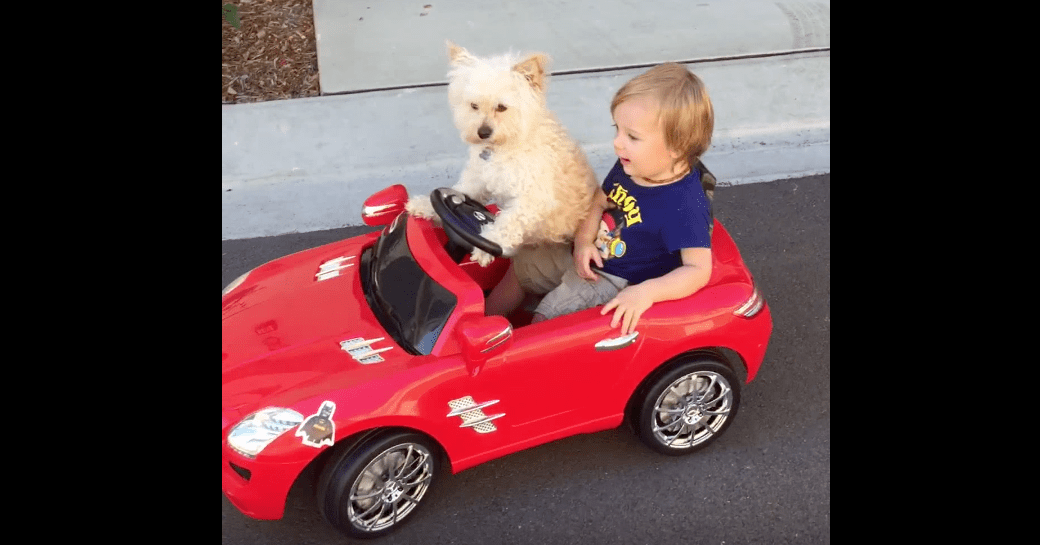 有名なタイトルに合ってるような画像を貼るトピ