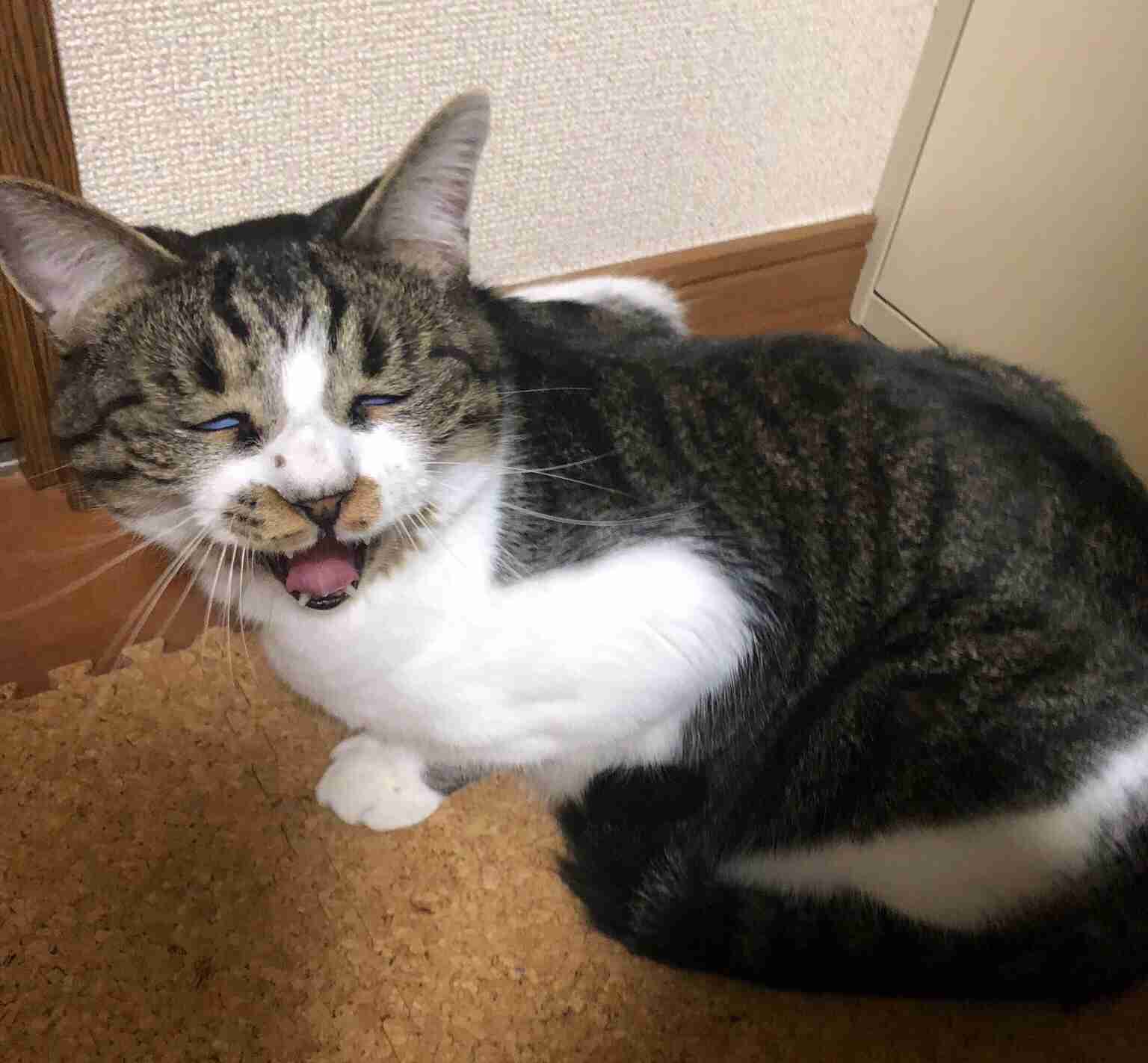 有名なタイトルに合ってるような画像を貼るトピ