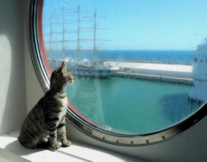 有名なタイトルに合ってるような画像を貼るトピ