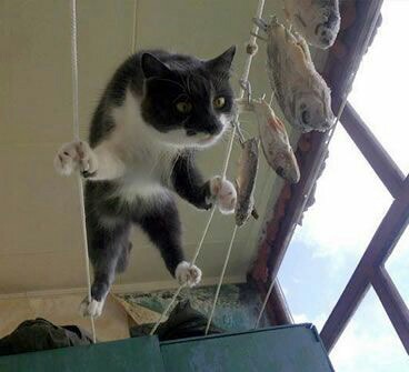 有名なタイトルに合ってるような画像を貼るトピ