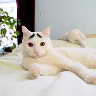 有名なタイトルに合ってるような画像を貼るトピ