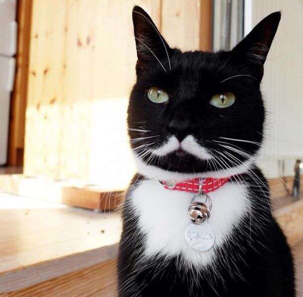 有名なタイトルに合ってるような画像を貼るトピ