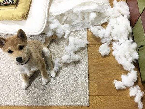 有名なタイトルに合ってるような画像を貼るトピ