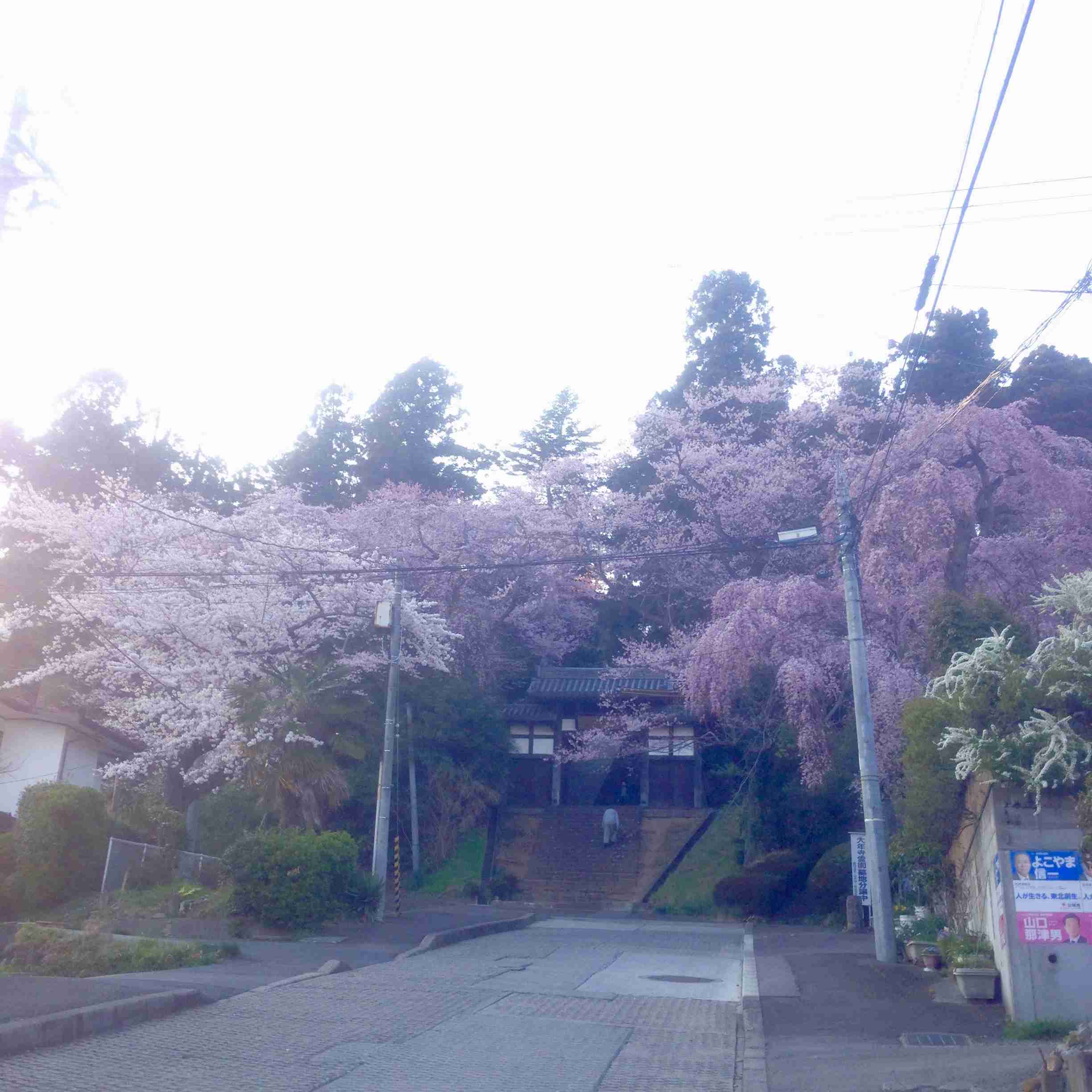 宮城県全力おすすめスポット！